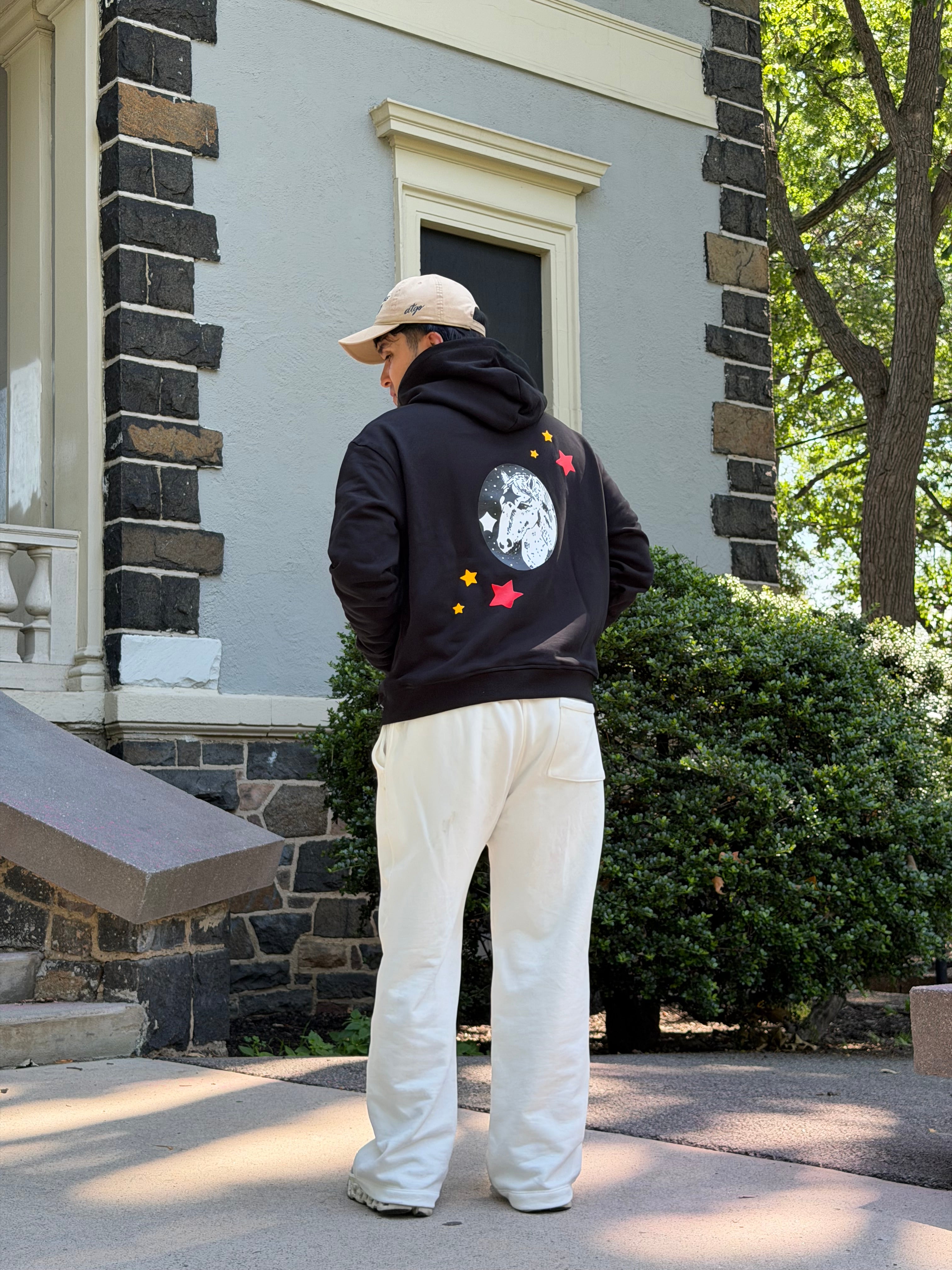 YEAR OF THE HORSE HOODIE